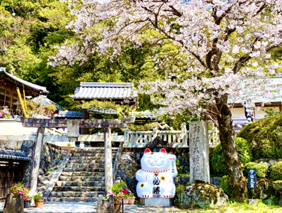 周辺観光イメージ