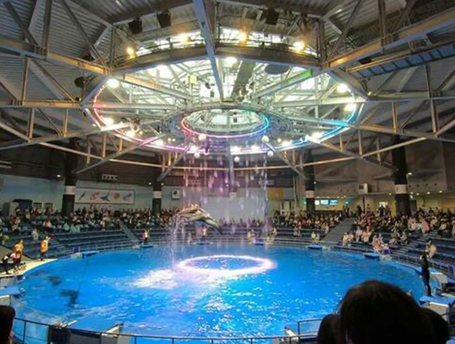 お食事：和食イメージ