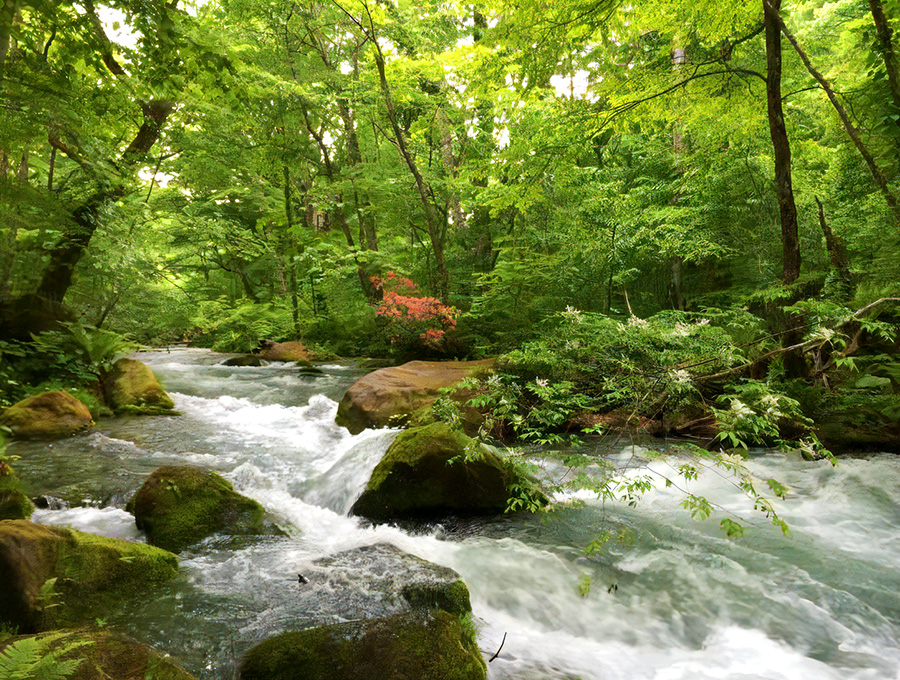 周辺観光イメージ